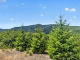 0 Upper Cow Creek Rd - Photo 22