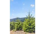 0 Upper Cow Creek Rd - Photo 23