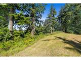  Nehalem Point Dr - Photo 10