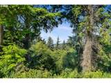  Nehalem Point Dr - Photo 12