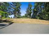  Nehalem Point Dr - Photo 8