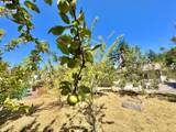 91525 Spaw Ln - Photo 44