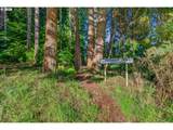 1190 Tenmile Lake - Photo 33