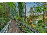 1190 Tenmile Lake - Photo 34