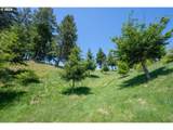  Bridgeview Dr - Photo 15