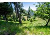  Bridgeview Dr - Photo 18