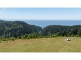  Bridgeview Dr - Photo 4