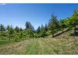  Bridgeview Dr - Photo 5