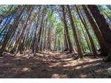  Bridgeview Dr - Photo 6