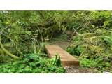 136 Peppermill Rd - Photo 4
