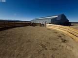 55775 Coffey Rd - Photo 12
