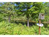 55980 Fishtale Rd - Photo 13