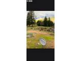 960 Bayview Loop - Photo 12