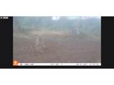 960 Bayview Loop - Photo 13