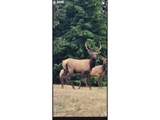 960 Bayview Loop - Photo 7