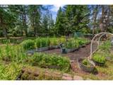 1320 Canyon Rd - Photo 6