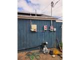 1704 Maple St - Photo 2