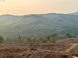3727 Little Kalama River Rd - Photo 10