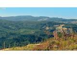 3727 Little Kalama River Rd - Photo 12