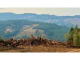 3727 Little Kalama River Rd - Photo 19