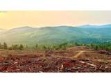 3727 Little Kalama River Rd - Photo 2