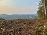 3727 Little Kalama River Rd - Photo 20