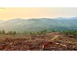 3727 Little Kalama River Rd - Photo 22