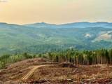3727 Little Kalama River Rd - Photo 31