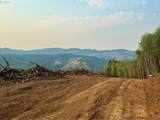 3727 Little Kalama River Rd - Photo 4