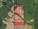 3727 Little Kalama River Rd - Photo 5