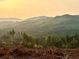 3727 Little Kalama River Rd - Photo 6