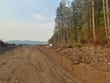 3727 Little Kalama River Rd - Photo 8