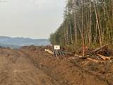 3727 Little Kalama River Rd - Photo 9