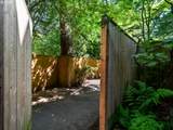 5055 Sunset Dr - Photo 38