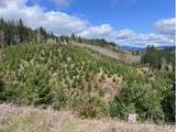  Northrup Creek Rd - Photo 27