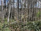  Northrup Creek Rd - Photo 36