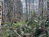  Northrup Creek Rd - Photo 37