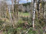  Northrup Creek Rd - Photo 38