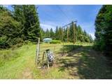 99104 Lone Pine Ln - Photo 16