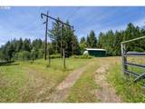 99104 Lone Pine Ln - Photo 18