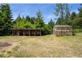 99104 Lone Pine Ln - Photo 3