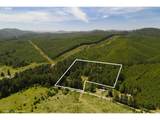 99104 Lone Pine Ln - Photo 46