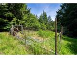 99104 Lone Pine Ln - Photo 9