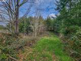  00 Elderberry - Photo 4
