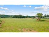 28283 Hwy 224 - Photo 8