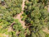  Mulberry Ln - Photo 16
