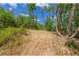  Mulberry Ln - Photo 19