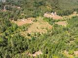  Mulberry Ln - Photo 24