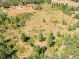  Mulberry Ln - Photo 25