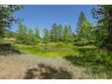  Mulberry Ln - Photo 6